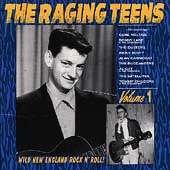 VARIOUS ARTISTS - THE RAGING TEENS Vol. 1