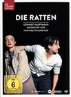 Die Ratten