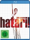 Hatari