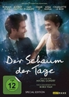 Der Schaum der Tage [SE] [2 DVDs]