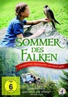 Sommer des Falken