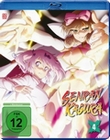 Senran Kagura - Vol. 4