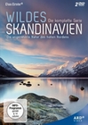 Wildes Skandinavien [2 DVDs]