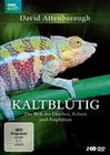 Kaltbltig - Die Welt der Drachen, ... [2 DVDs]