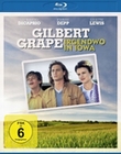 Gilbert Grape - Irgendwo in Iowa