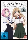 Brynhildr in the Darkness Vol. 4