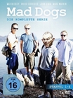 Mad Dogs - Die komplette Serie [7 DVDs]