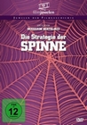 Die Strategie der Spinne