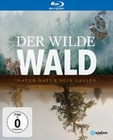 Der Wilde Wald - Natur Natur sein lassen