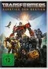 Transformers: Aufstieg der Bestien