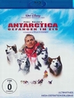 Antarctica - Gefangen im Eis