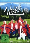 Wildbach - Folgen 01-16 [4 DVDs]