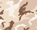 Tapete - Camouflage - Beige - Braun